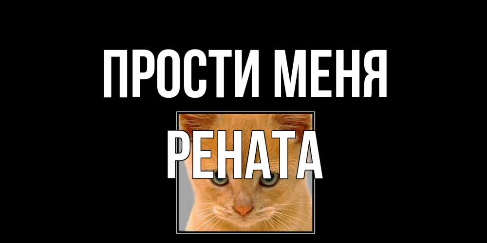 Открытка на каждый день с именем, Рената Прости меня рыжий грустный кот просит прощения Прикольная открытка с пожеланием онлайн скачать бесплатно 