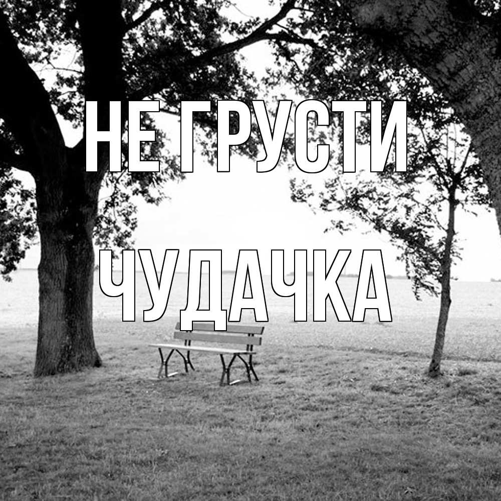 Открытка на каждый день с именем, Чудачка Не грусти мощное дерево Прикольная открытка с пожеланием онлайн скачать бесплатно 