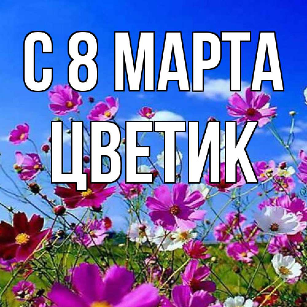 Открытка на каждый день с именем, цветик C 8 МАРТА цветы Прикольная открытка с пожеланием онлайн скачать бесплатно 