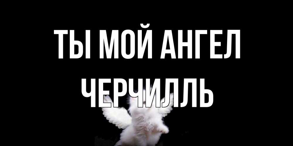 Открытка на каждый день с именем, Черчилль Ты мой ангел Кот ангел Прикольная открытка с пожеланием онлайн скачать бесплатно 