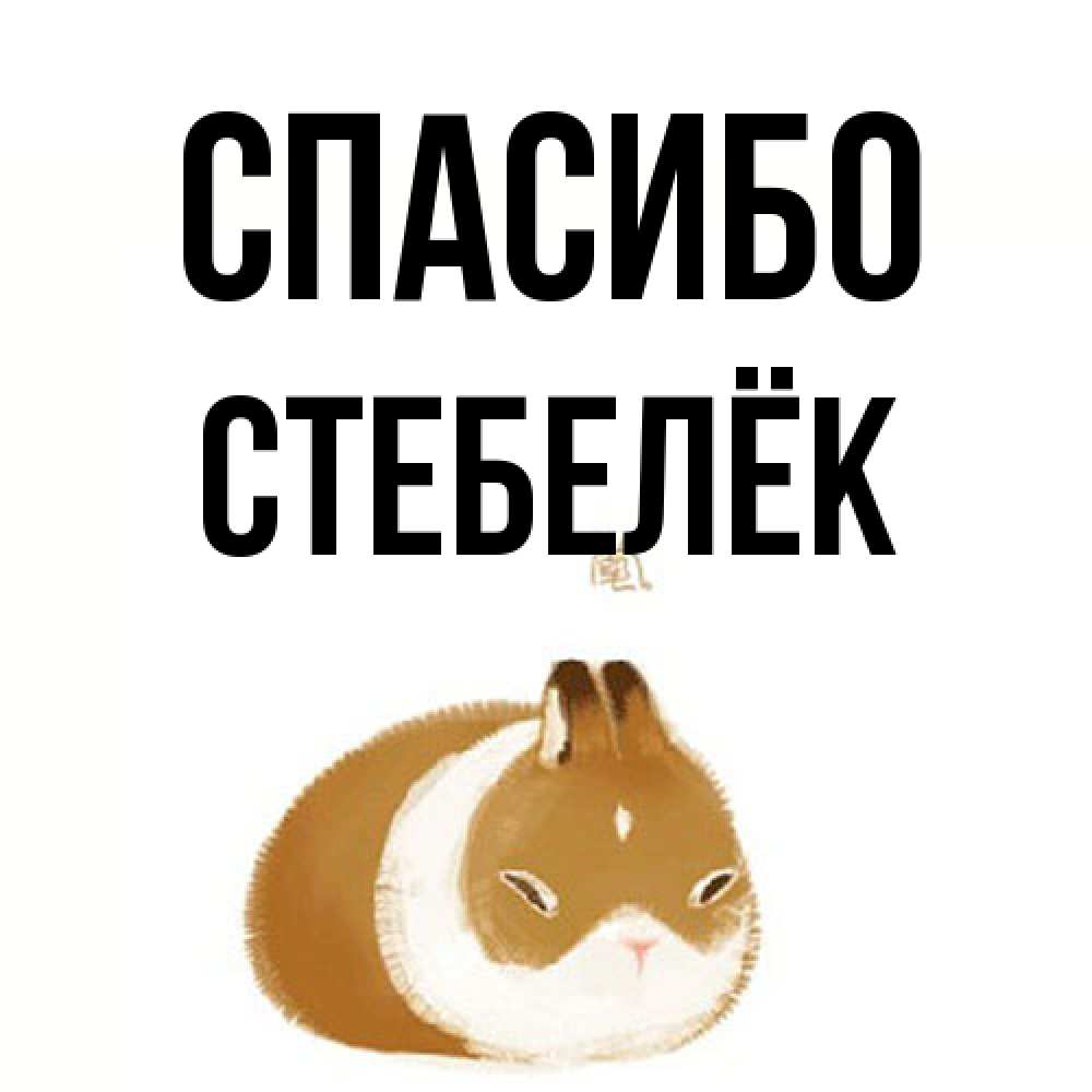 Открытка на каждый день с именем, Стебелёк Спасибо коричнево белый домашний питомец Прикольная открытка с пожеланием онлайн скачать бесплатно 