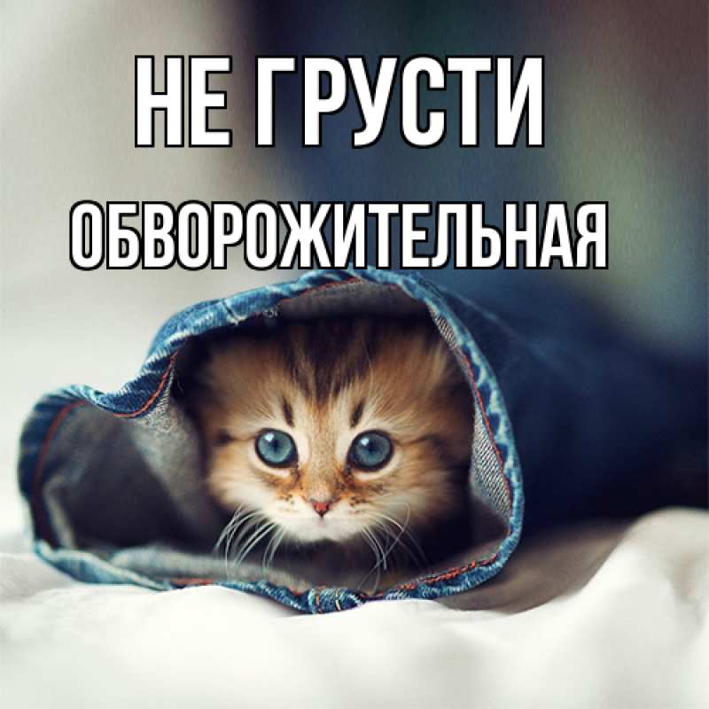 Картинка Не грусти, Обвоpожительная
