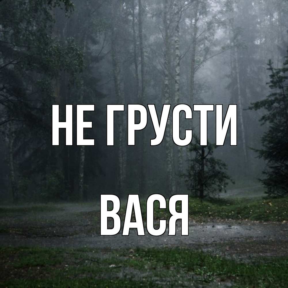 Открытка на каждый день с именем, Вася Не грусти осень Прикольная открытка с пожеланием онлайн скачать бесплатно 