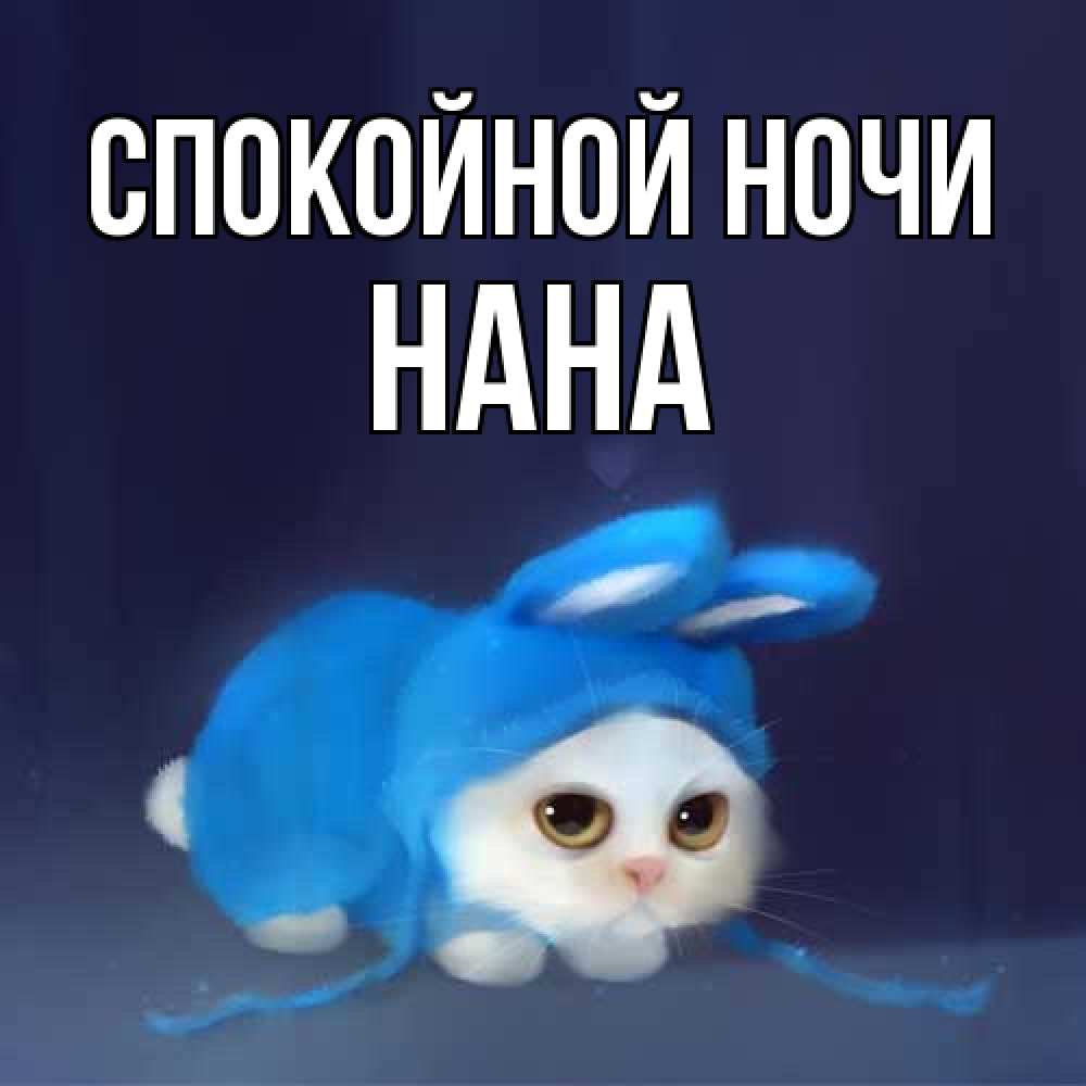 Открытка на каждый день с именем, Нана Спокойной ночи кот в голубом костюме кролика с ушками Прикольная открытка с пожеланием онлайн скачать бесплатно 