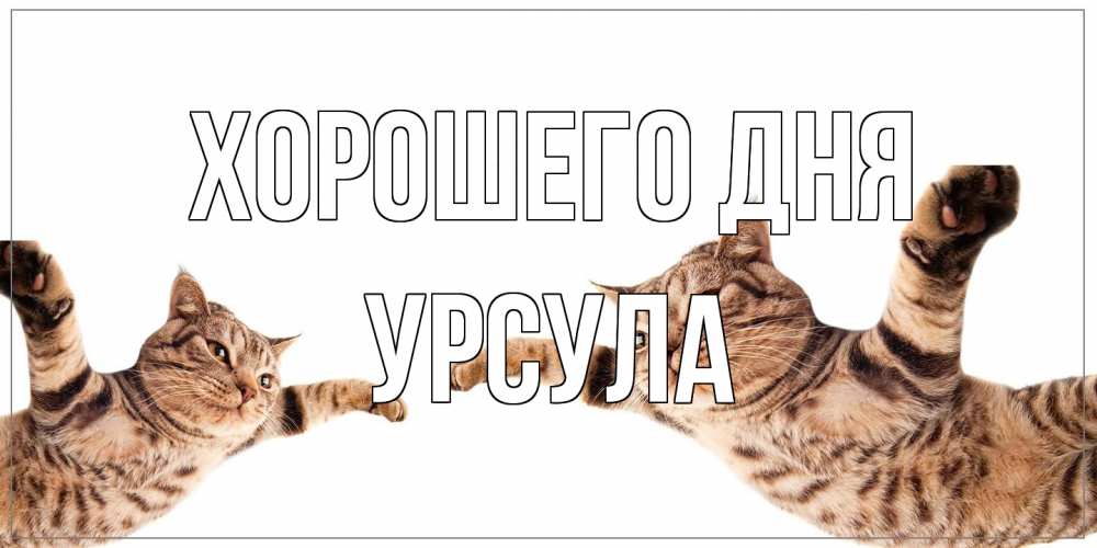 Открытка на каждый день с именем, Урсула Хорошего дня хорошего дня Прикольная открытка с пожеланием онлайн скачать бесплатно 