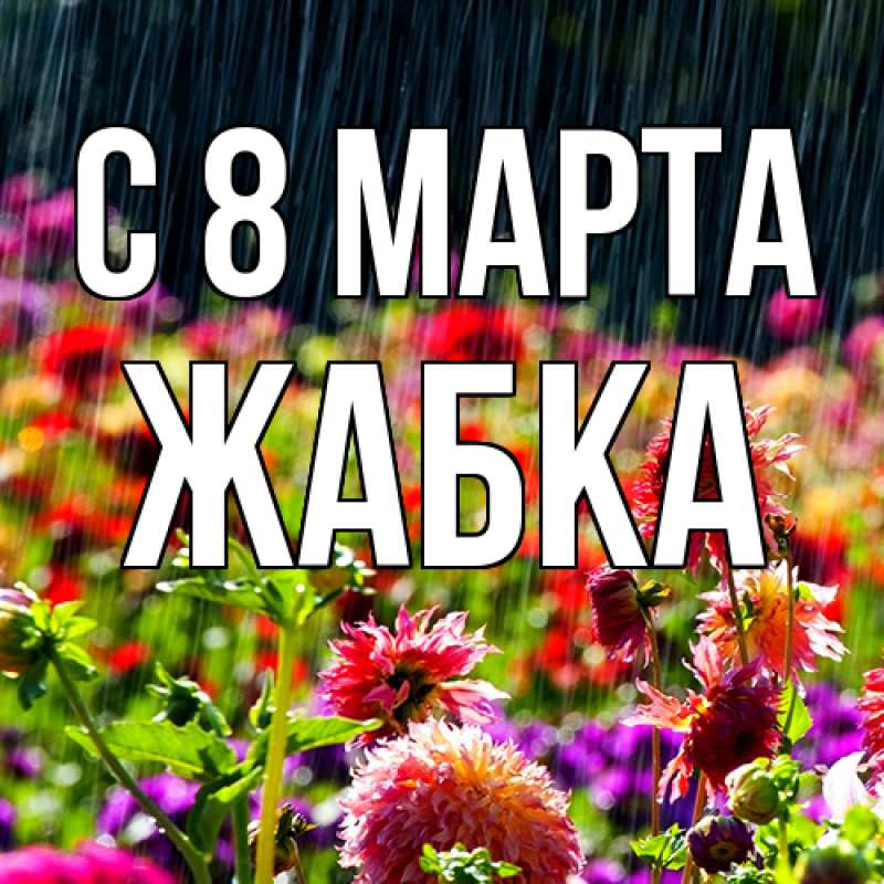 Картинка C 8 МАРТА, Жабка