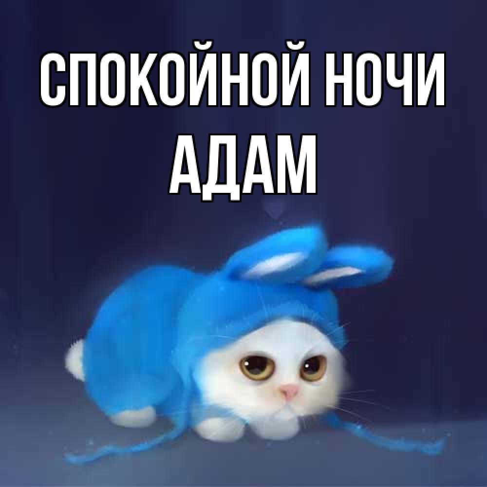 Открытка на каждый день с именем, Адам Спокойной ночи кот в голубом костюме кролика с ушками Прикольная открытка с пожеланием онлайн скачать бесплатно 
