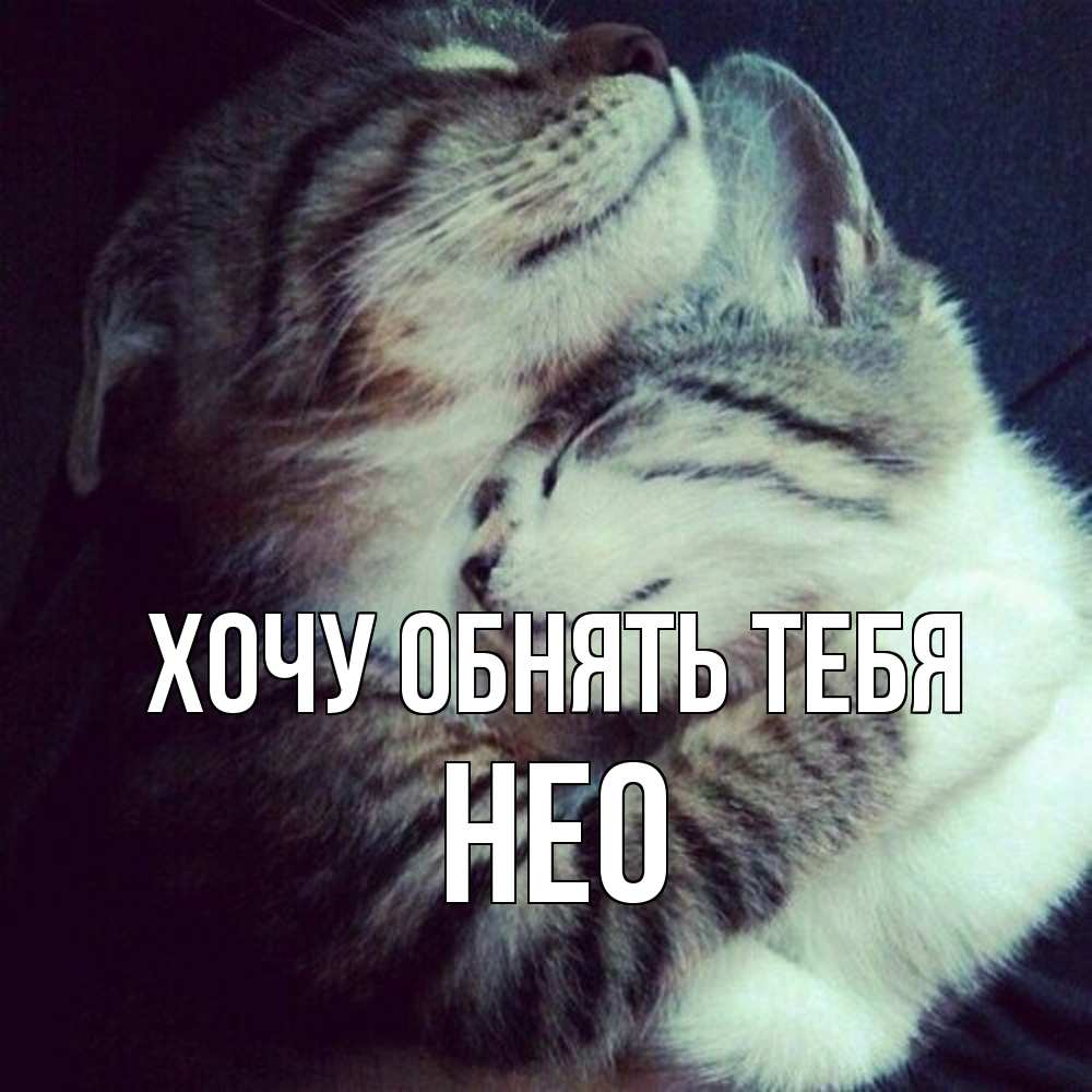 Открытка на каждый день с именем, Нео Хочу обнять тебя полосатики Прикольная открытка с пожеланием онлайн скачать бесплатно 