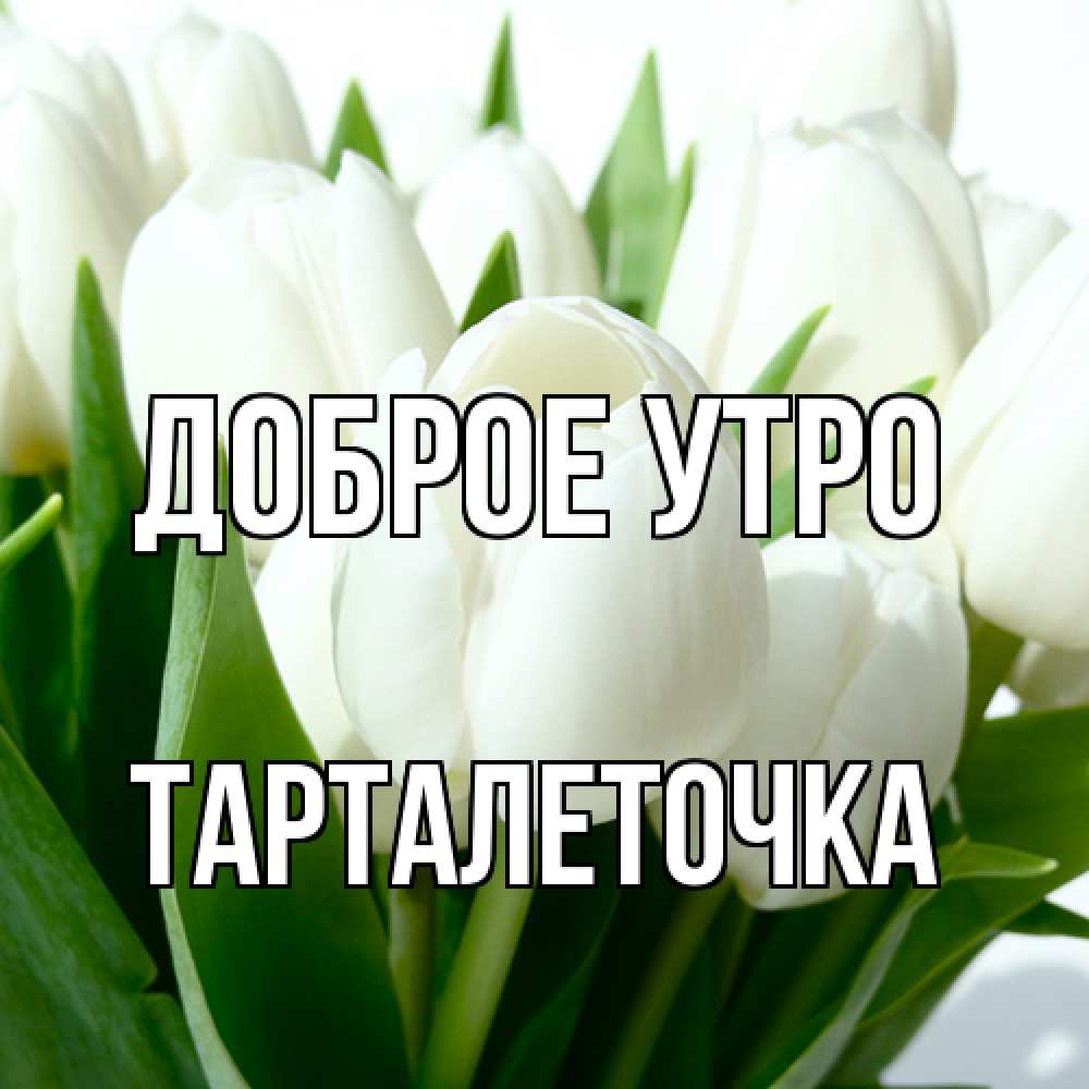 Открытка на каждый день с именем, Тарталеточка Доброе утро открытки на каждый день по именам Прикольная открытка с пожеланием онлайн скачать бесплатно 