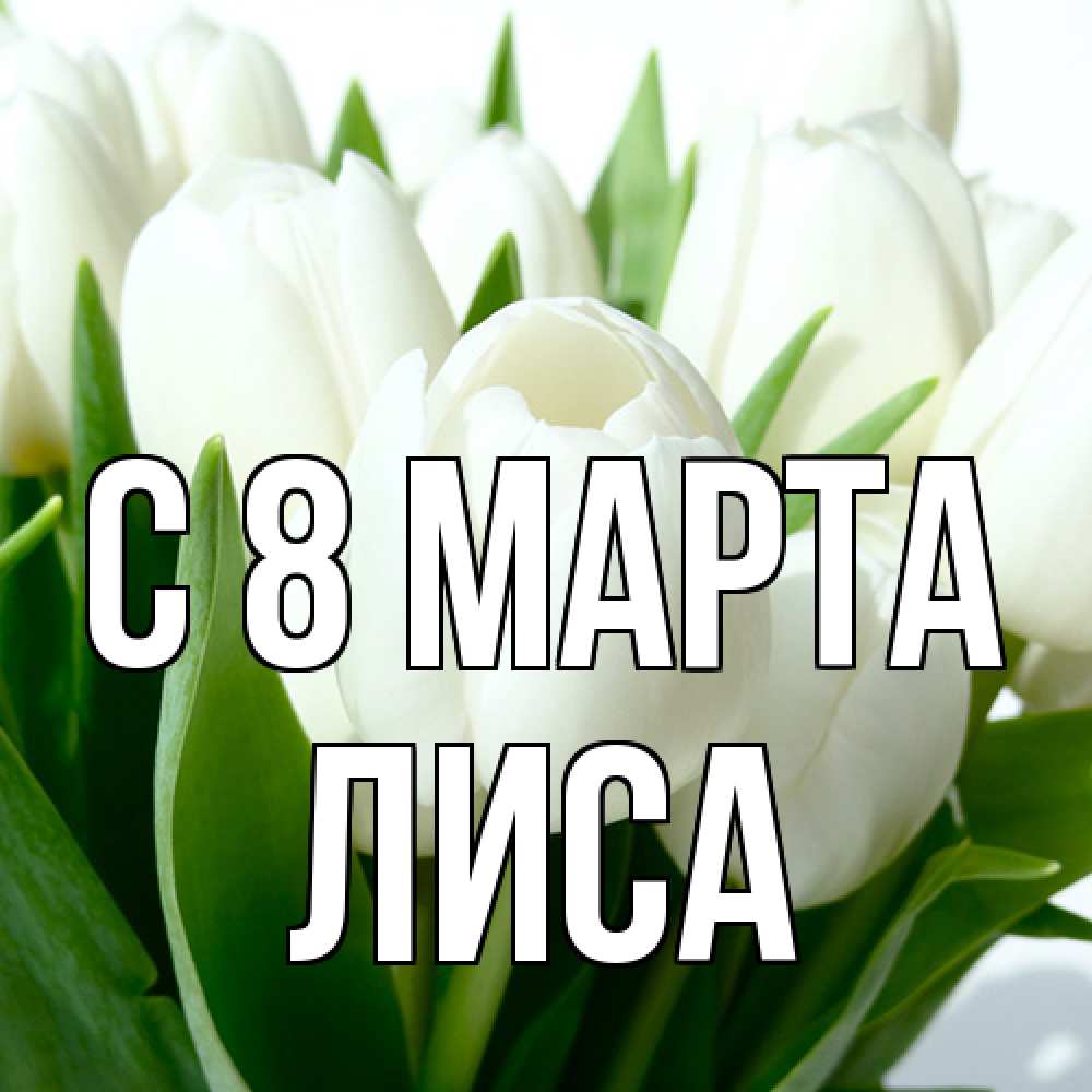 Открытка на каждый день с именем, лиса C 8 МАРТА цветы Прикольная открытка с пожеланием онлайн скачать бесплатно 