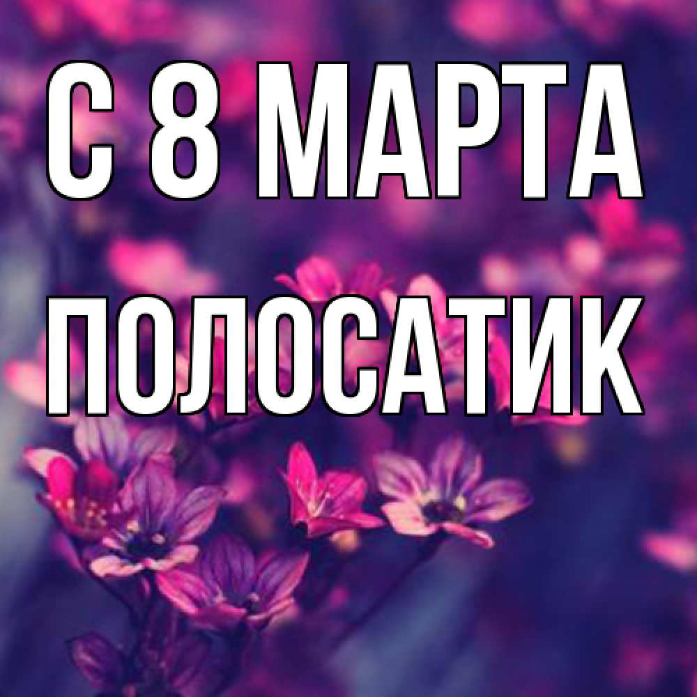 Открытка на каждый день с именем, полосатик C 8 МАРТА небольшие цветы 1 Прикольная открытка с пожеланием онлайн скачать бесплатно 