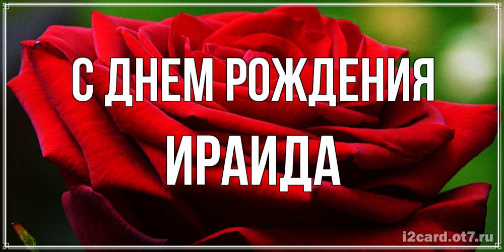 Открытка на каждый день с именем, Ираида С днем рождения розочка очень красивая Прикольная открытка с пожеланием онлайн скачать бесплатно 