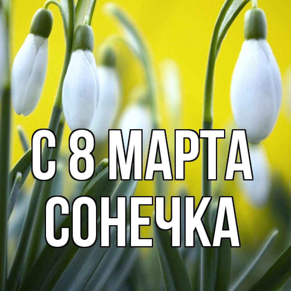 Открытка на каждый день с именем, Сонечка C 8 МАРТА весенние цветы Прикольная открытка с пожеланием онлайн скачать бесплатно 