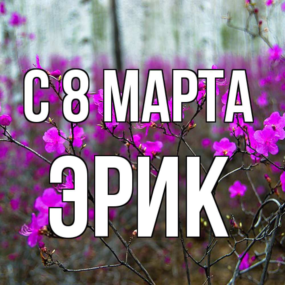 Открытка на каждый день с именем, Эрик C 8 МАРТА дикие цветы Прикольная открытка с пожеланием онлайн скачать бесплатно 