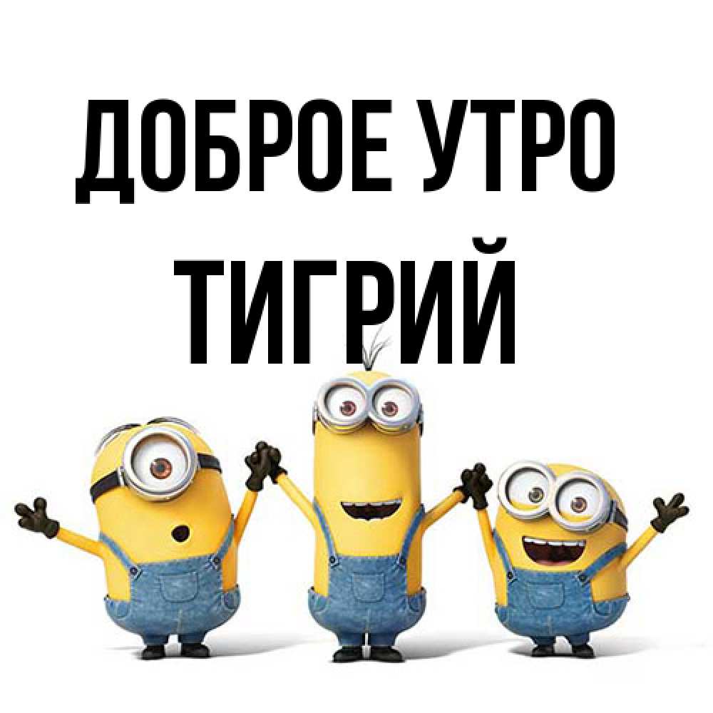 Открытка на каждый день с именем, Тигрий Доброе утро бодренького утра Прикольная открытка с пожеланием онлайн скачать бесплатно 