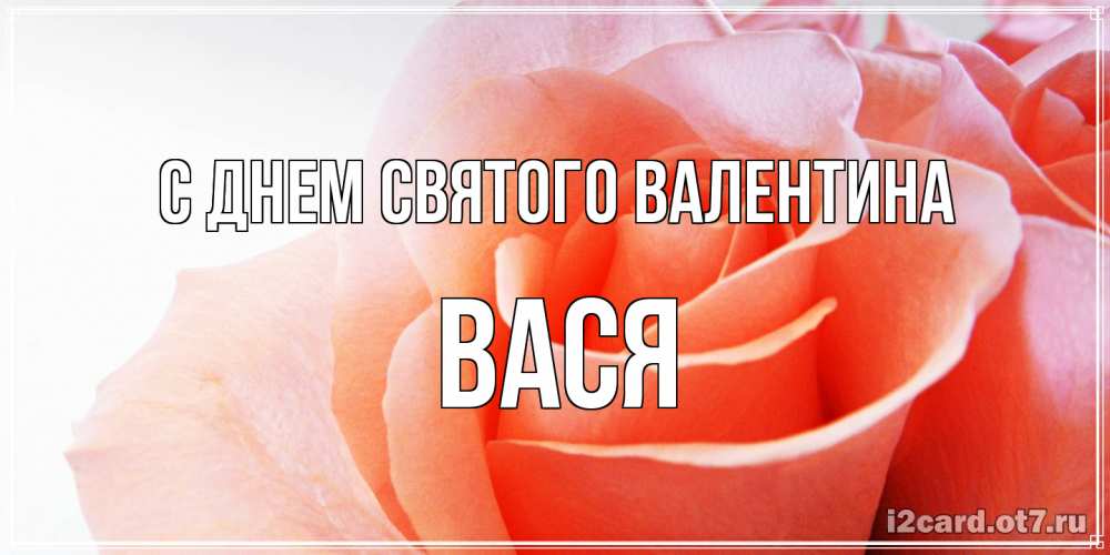 Открытка на каждый день с именем, Вася С днем Святого Валентина открытка на день Святого Валентина с розовой розой Прикольная открытка с пожеланием онлайн скачать бесплатно 