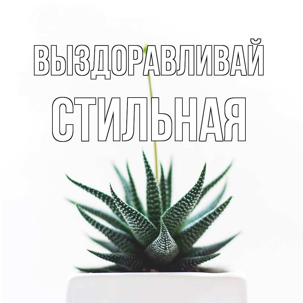Открытка на каждый день с именем, Стильная Выздоравливай короче это непонятная колючка Прикольная открытка с пожеланием онлайн скачать бесплатно 