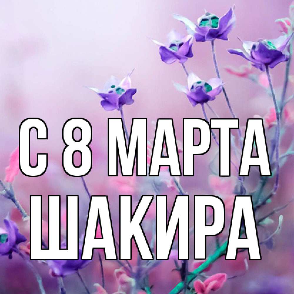 Открытка на каждый день с именем, Шакира C 8 МАРТА международный женский день 2 Прикольная открытка с пожеланием онлайн скачать бесплатно 