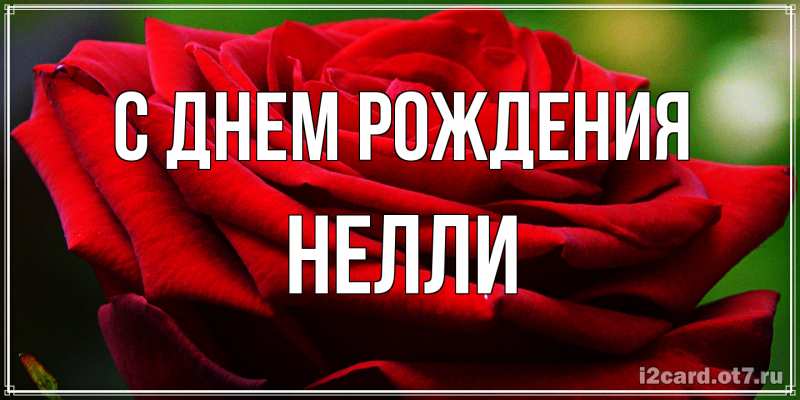 Картинка С днем рождения, Нелли