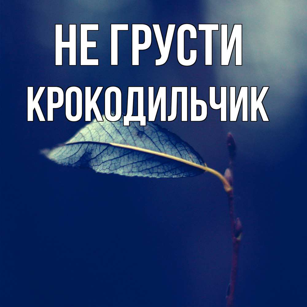 Открытка на каждый день с именем, Крокодильчик Не грусти растение Прикольная открытка с пожеланием онлайн скачать бесплатно 