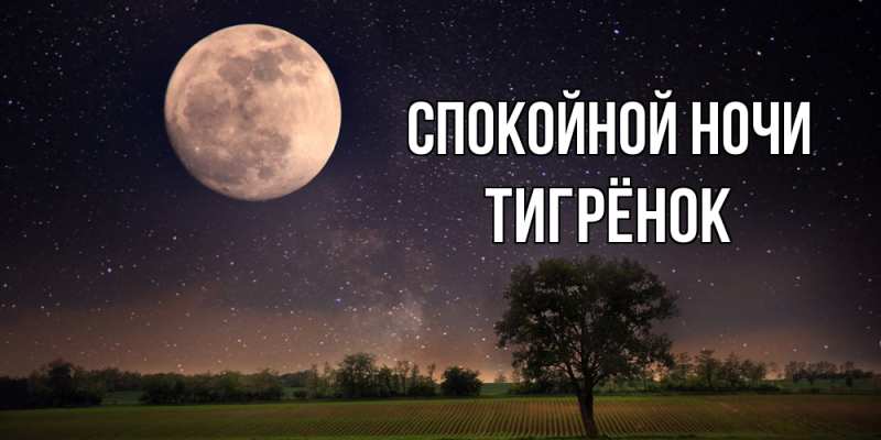 Картинка Спокойной ночи, Тигрёнок