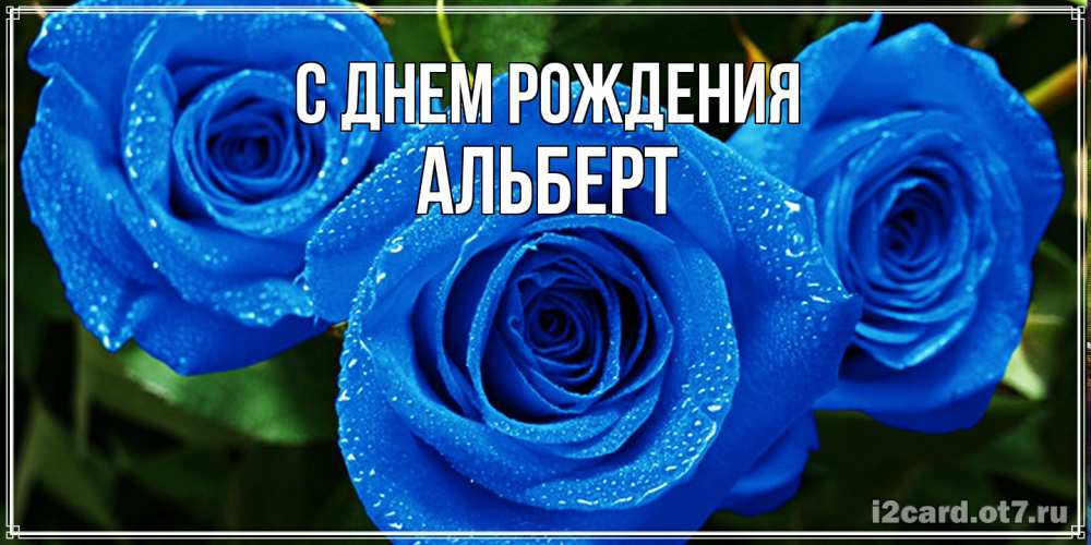 Открытка на каждый день с именем, Альберт С днем рождения розы с синим цветом Прикольная открытка с пожеланием онлайн скачать бесплатно 