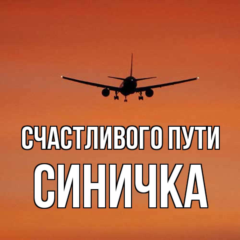 Открытка на каждый день с именем, Синичка Счастливого пути силуэт самолета Прикольная открытка с пожеланием онлайн скачать бесплатно 