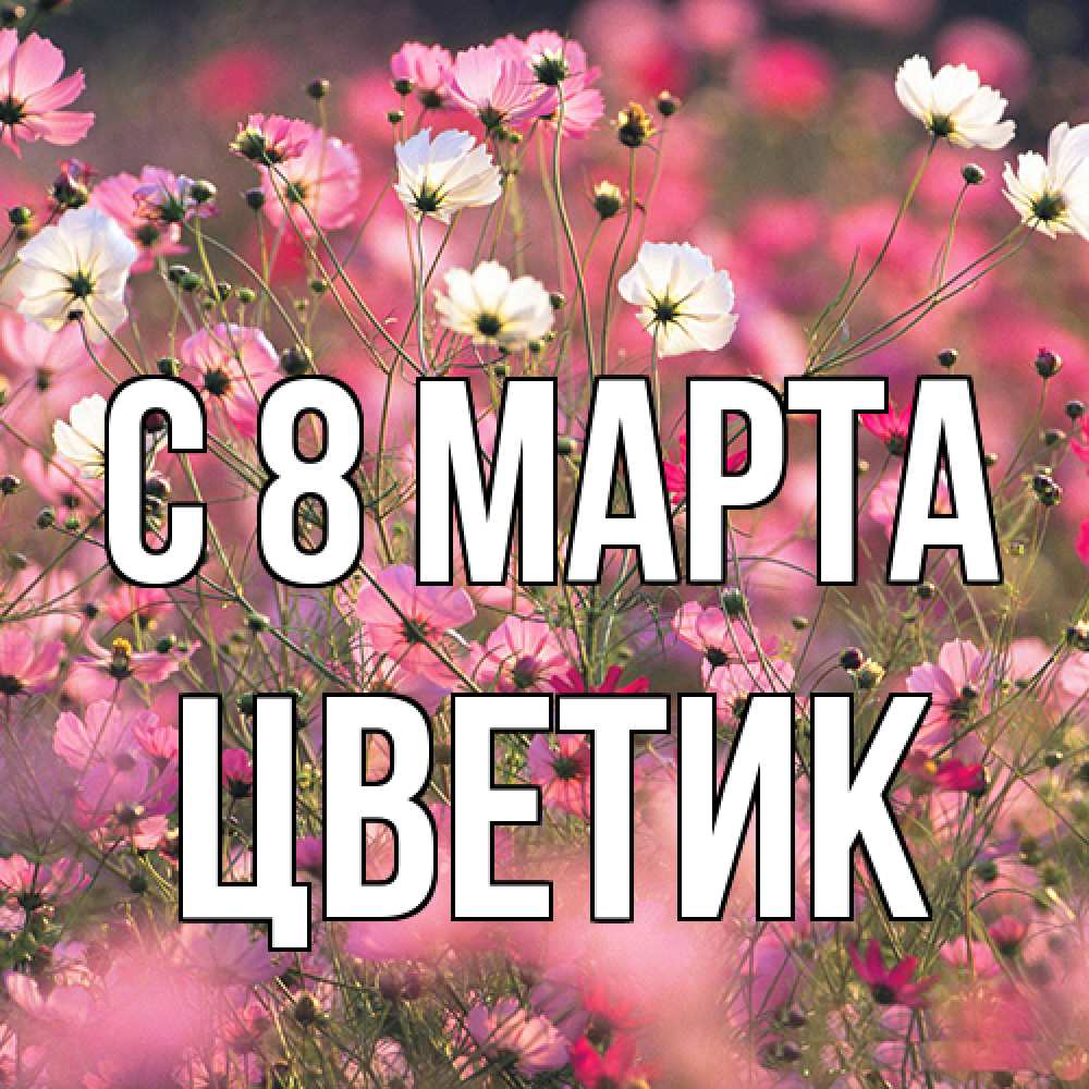 Открытка на каждый день с именем, цветик C 8 МАРТА красиво 1 Прикольная открытка с пожеланием онлайн скачать бесплатно 