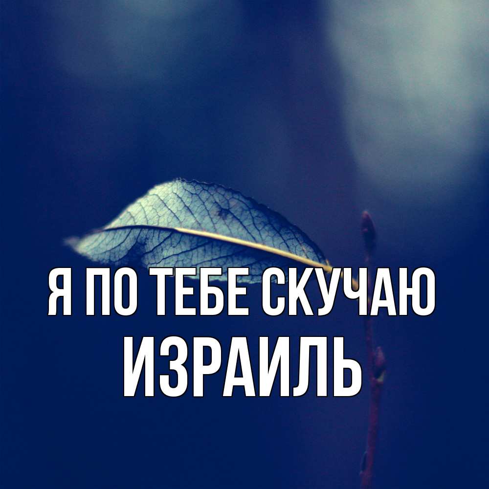Открытка на каждый день с именем, Израиль Я по тебе скучаю одна ветка 1 Прикольная открытка с пожеланием онлайн скачать бесплатно 