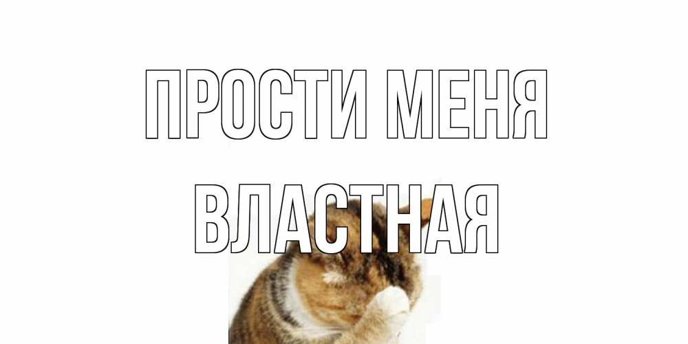 Открытка на каждый день с именем, властная Прости меня кот Прикольная открытка с пожеланием онлайн скачать бесплатно 