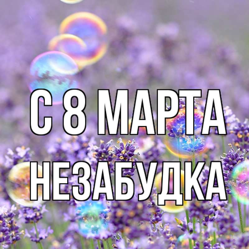 Картинка C 8 МАРТА, Незабудка