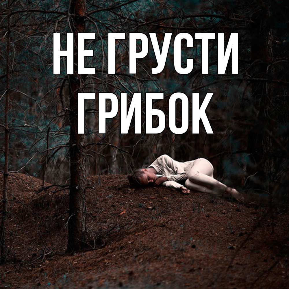 Открытка на каждый день с именем, Грибок Не грусти лес Прикольная открытка с пожеланием онлайн скачать бесплатно 