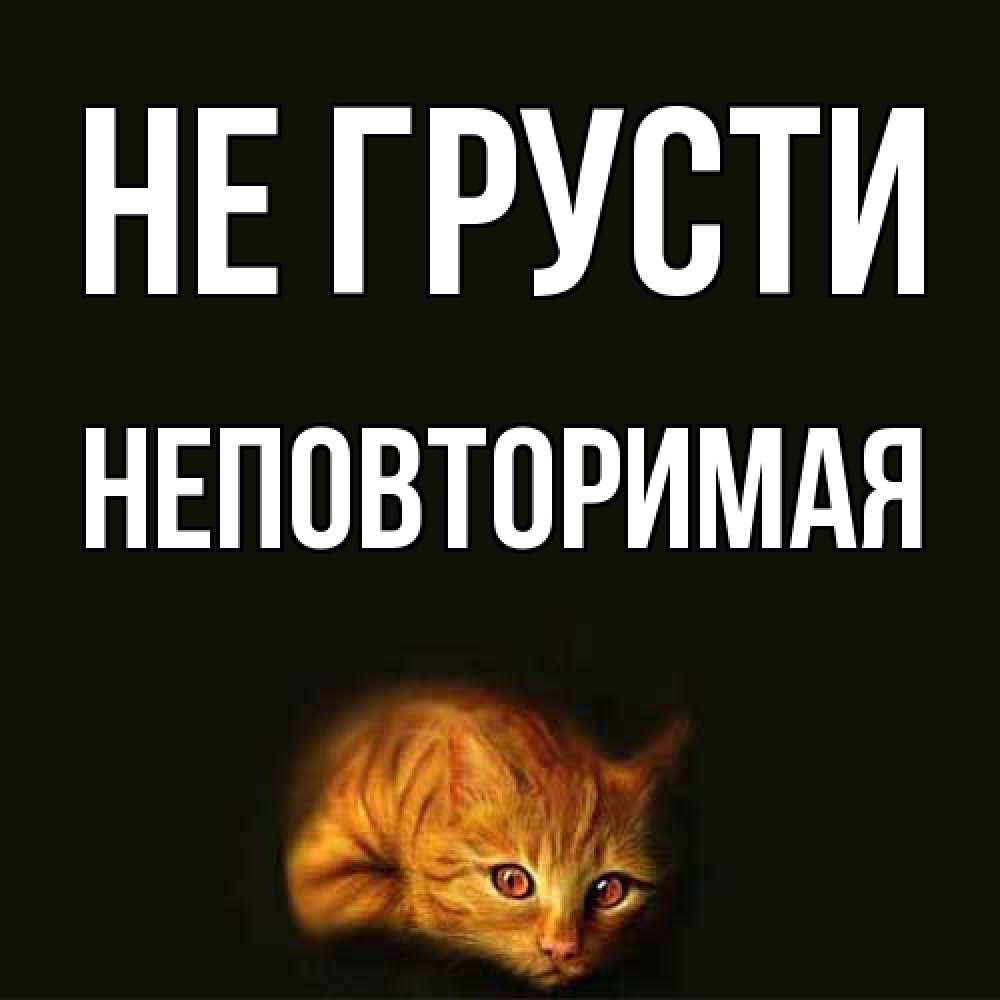 Открытка на каждый день с именем, Неповторимая Не грусти лежащий кот в темноте Прикольная открытка с пожеланием онлайн скачать бесплатно 