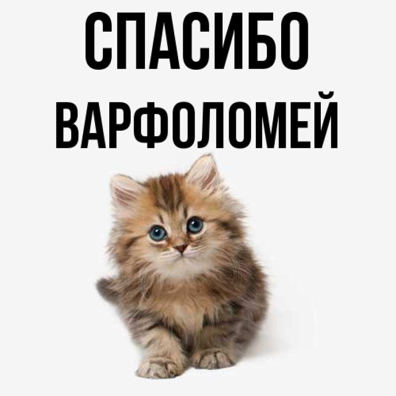 Картинка Спасибо, Варфоломей