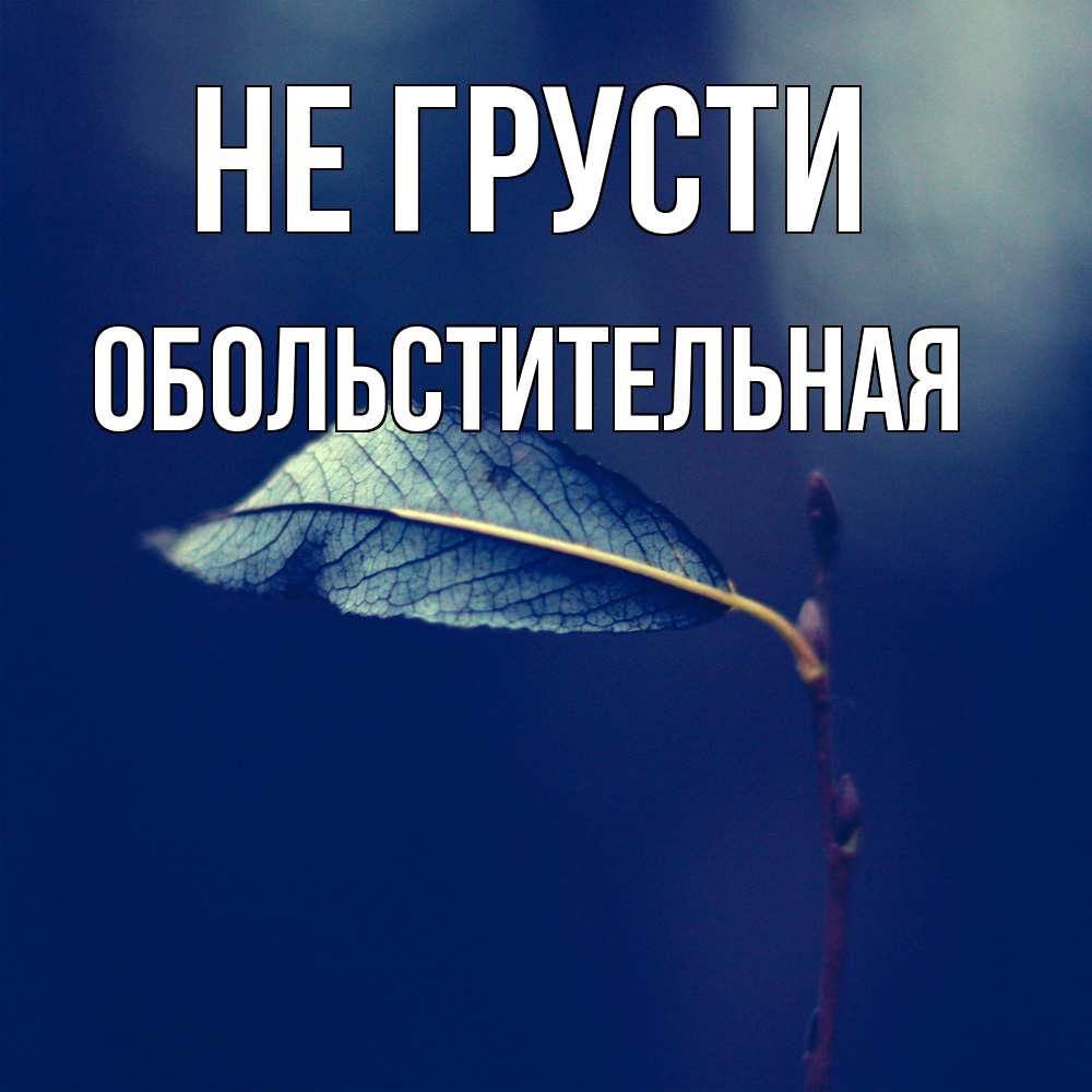 Открытка на каждый день с именем, Обольстительная Не грусти растение Прикольная открытка с пожеланием онлайн скачать бесплатно 