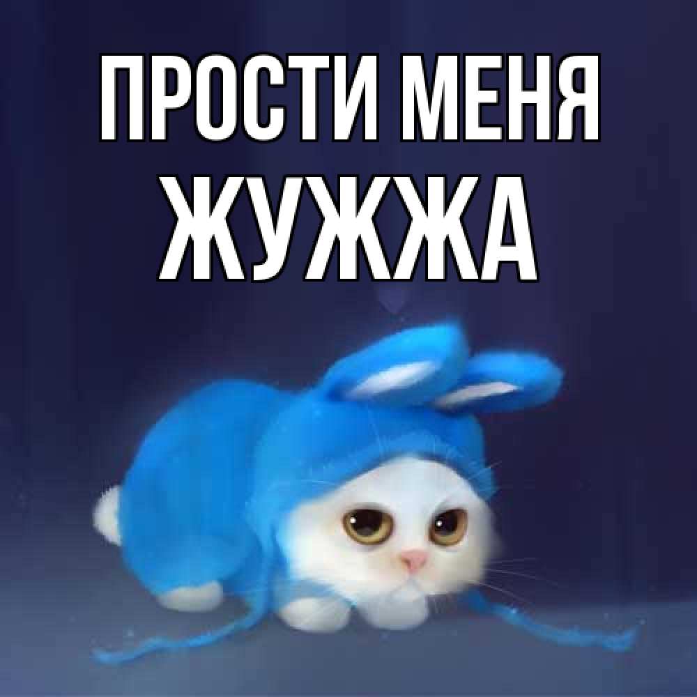 Открытка на каждый день с именем, Жужжа Прости меня невинный котозай просит прощения Прикольная открытка с пожеланием онлайн скачать бесплатно 