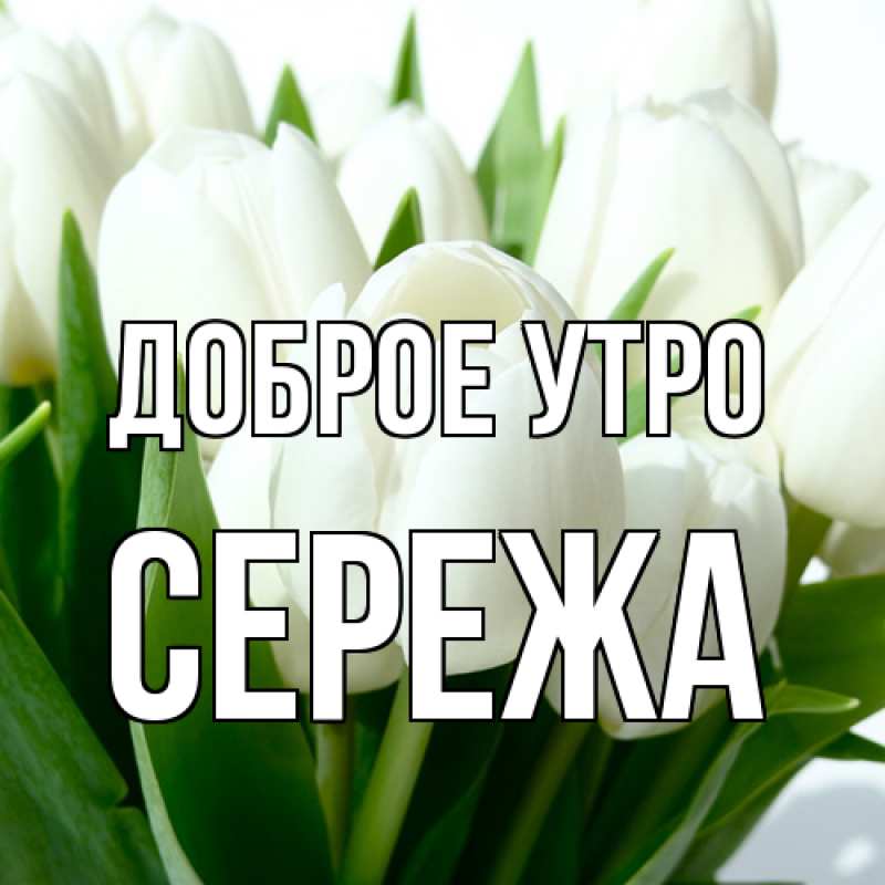 Картинка Доброе утро, Сережа