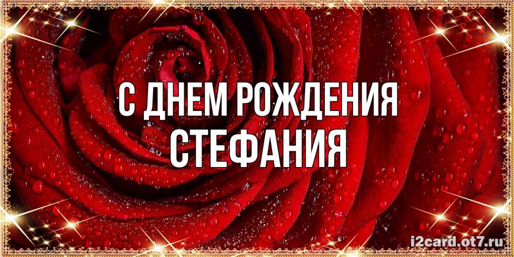 Открытка на каждый день с именем, Стефания С днем рождения роса на розе блестящая в лучах солнца Прикольная открытка с пожеланием онлайн скачать бесплатно 