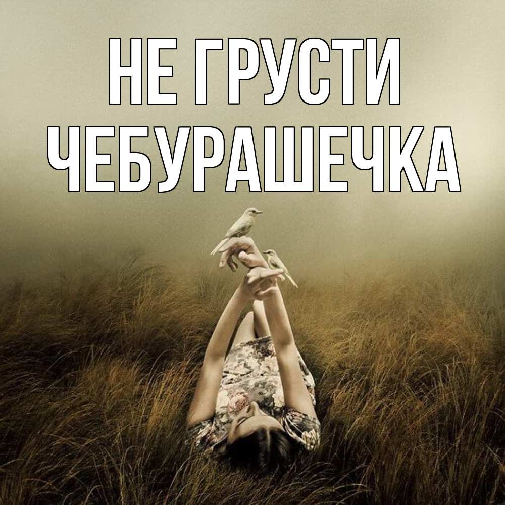 Открытка на каждый день с именем, Чебурашечка Не грусти поле и туман Прикольная открытка с пожеланием онлайн скачать бесплатно 
