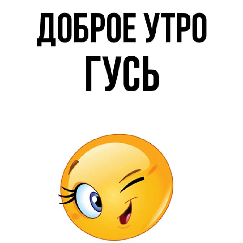 Картинка Доброе утро, Гусь