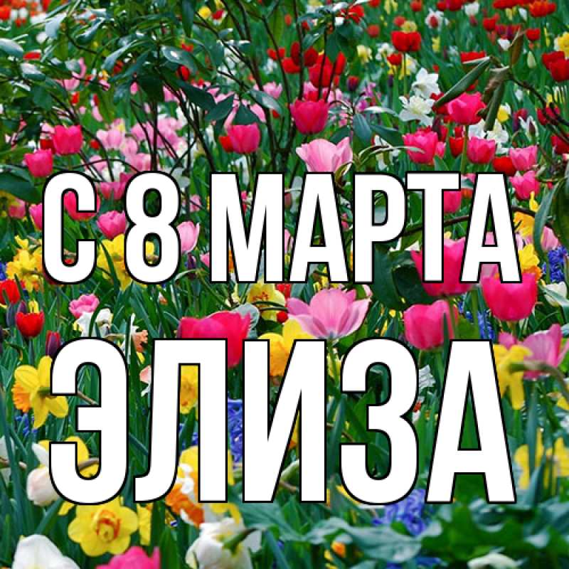 Картинка C 8 МАРТА, Элиза