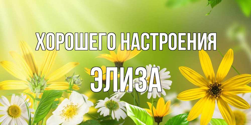 Открытка на каждый день с именем, Элиза Хорошего настроения цветы Прикольная открытка с пожеланием онлайн скачать бесплатно 
