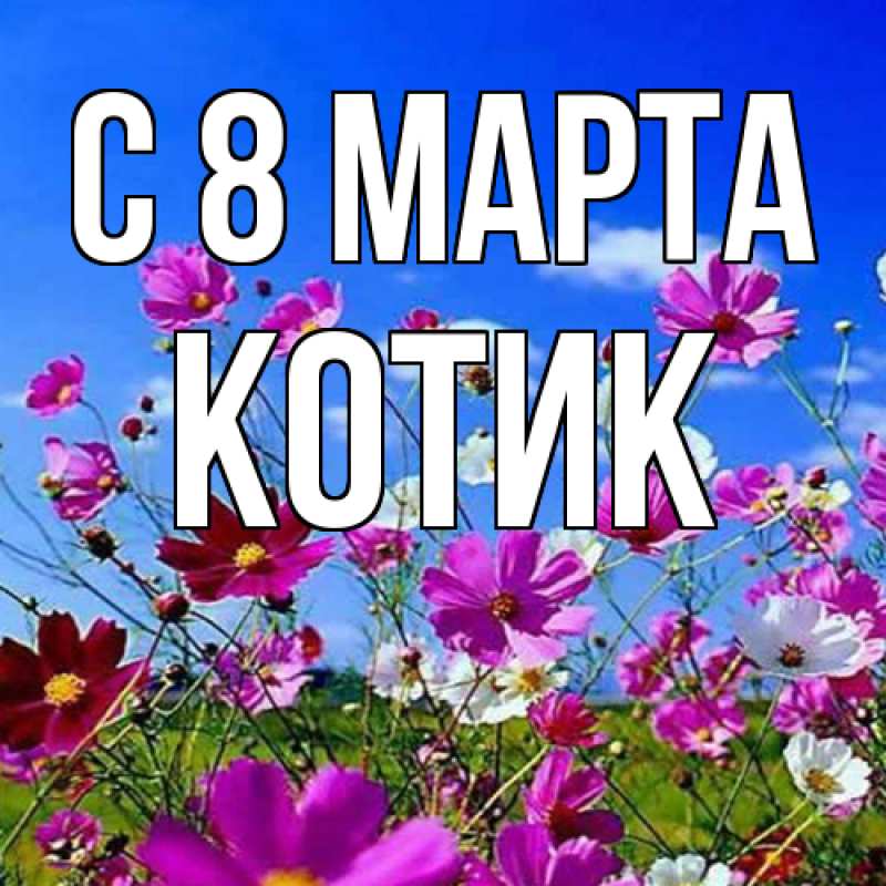 Картинка C 8 МАРТА, Котик