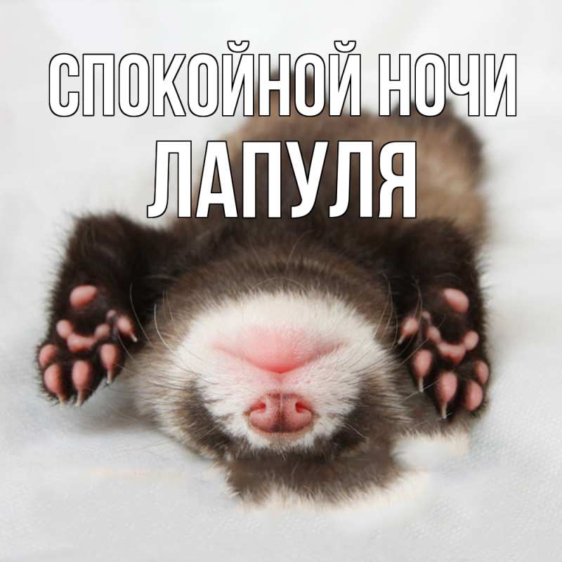 Картинка Спокойной ночи, Лапуля
