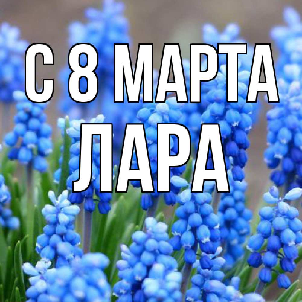 Открытка на каждый день с именем, Лара C 8 МАРТА Поздравительная открытка для женщин с цветами на праздничную дату Прикольная открытка с пожеланием онлайн скачать бесплатно 