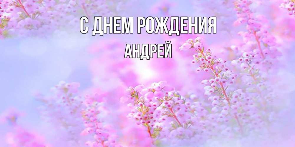 Открытка на каждый день с именем, Андрей С днем рождения красивая открытка с мелкими цветами Прикольная открытка с пожеланием онлайн скачать бесплатно 