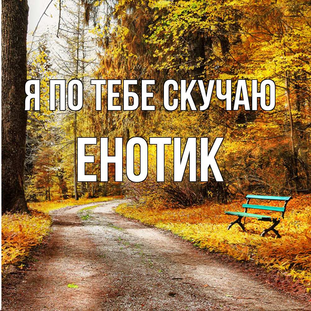 Открытка на каждый день с именем, Енотик Я по тебе скучаю зеленая лавочка и осенний лес Прикольная открытка с пожеланием онлайн скачать бесплатно 