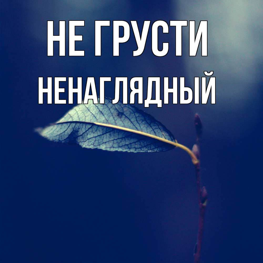 Открытка на каждый день с именем, Ненаглядный Не грусти растение Прикольная открытка с пожеланием онлайн скачать бесплатно 