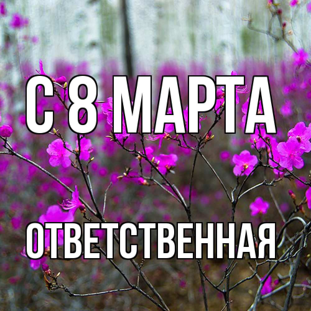 Открытка на каждый день с именем, ответственная C 8 МАРТА дикие цветы Прикольная открытка с пожеланием онлайн скачать бесплатно 