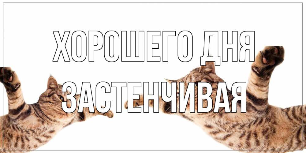 Открытка на каждый день с именем, Застенчивая Хорошего дня хорошего дня Прикольная открытка с пожеланием онлайн скачать бесплатно 